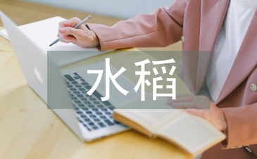 水稻栽培管理技术