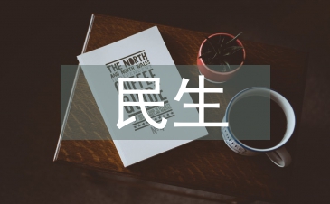 民生工作汇报