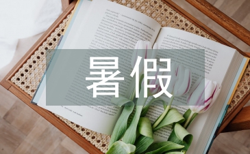 大学生暑假社会实践