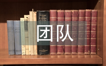 保险公司团队经营理念