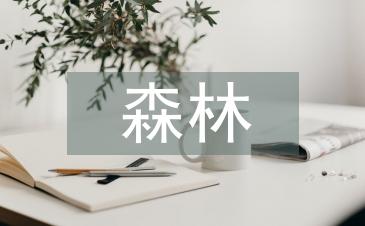 森林资源管理与生态林业发展探析
