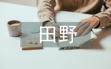 田野调查报告