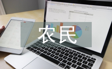 农民问题研究