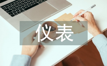 仪表试用期总结