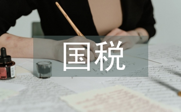 国税工作思路