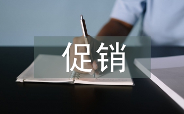 家电促销活动总结