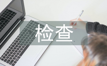 安全生产检查总结